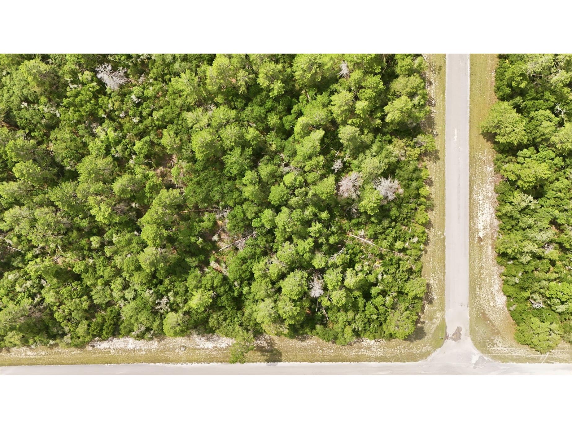 Parcel #8005-0854-46 (2.89 Acres) Ocala FL 34473 OM725740 image10