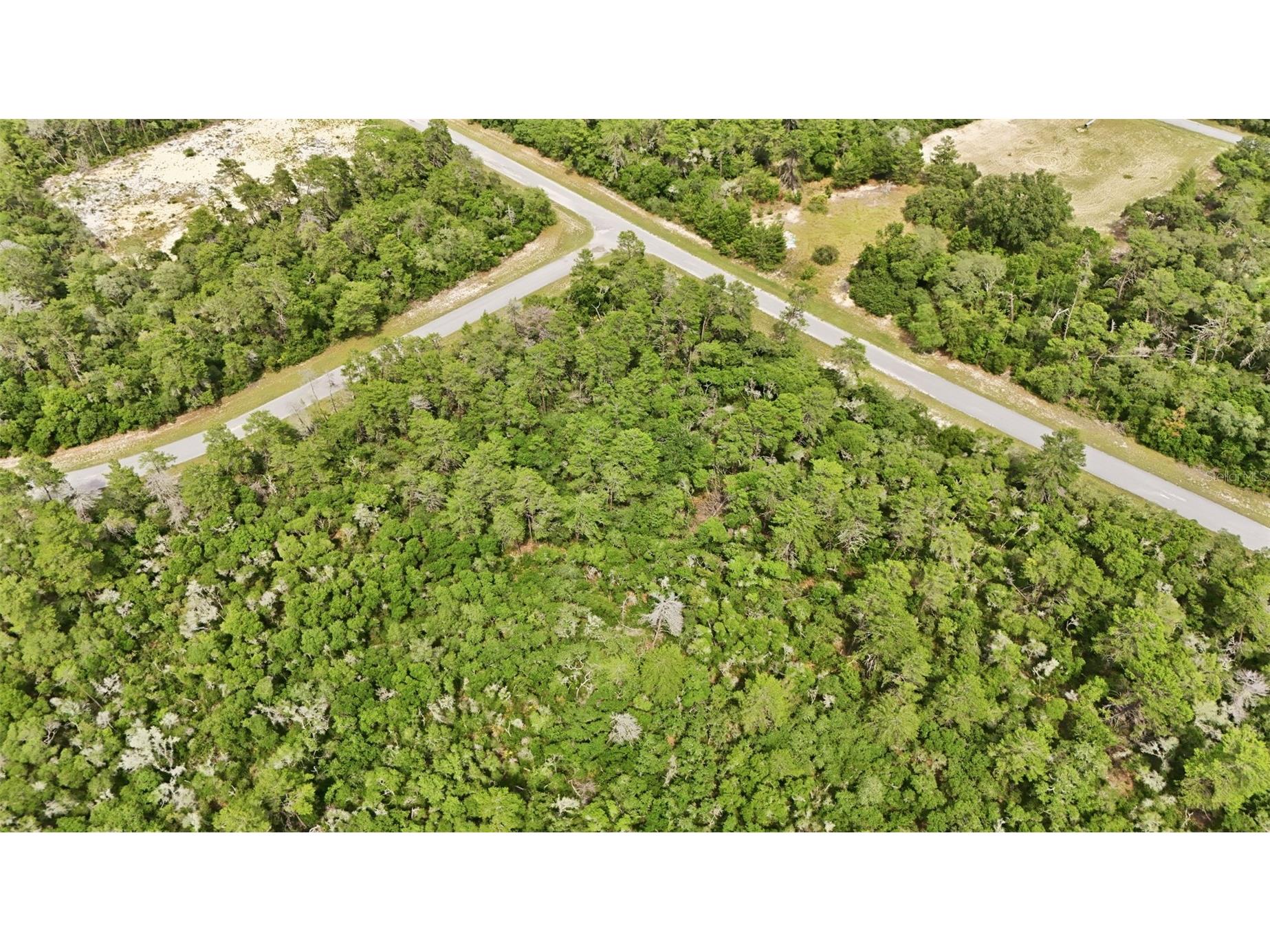 Parcel #8005-0854-46 (2.89 Acres) Ocala FL 34473 OM725740 image11