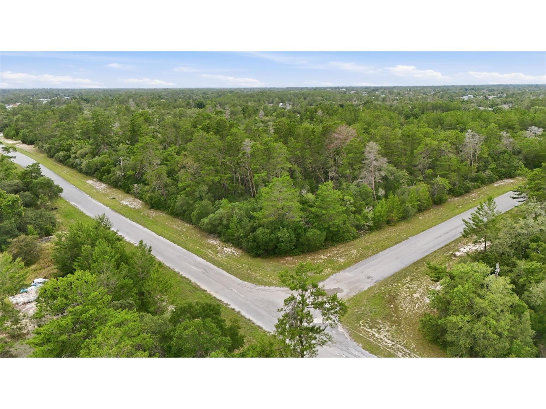 Parcel #8005-0854-46 (2.89 Acres) Ocala FL 34473 OM725740 image14