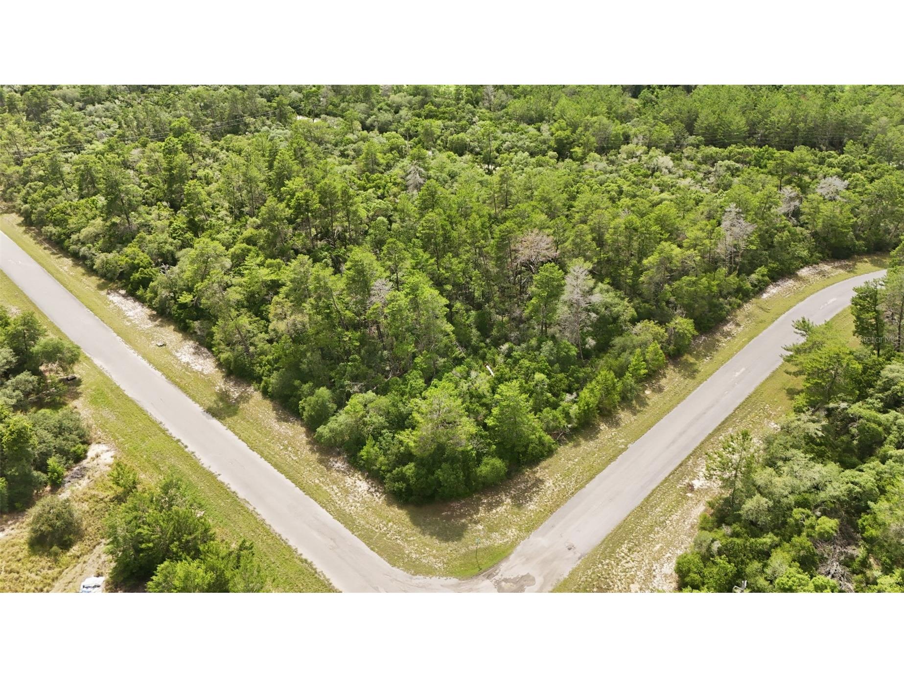 Parcel #8005-0854-46 (2.89 Acres) Ocala FL 34473 OM725740 image3