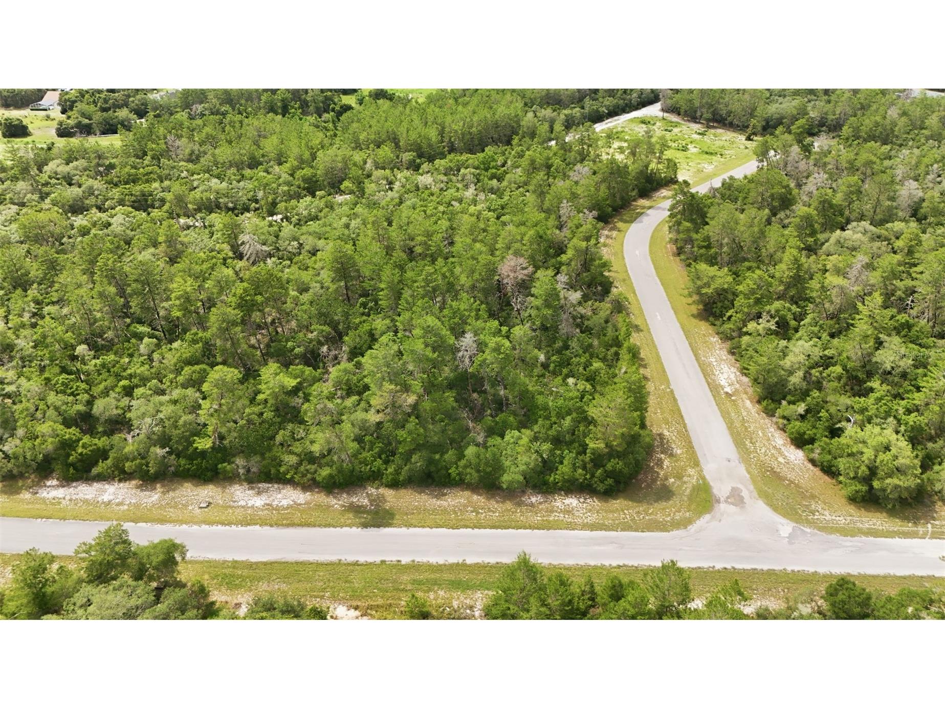 Parcel #8005-0854-46 (2.89 Acres) Ocala FL 34473 OM725740 image4