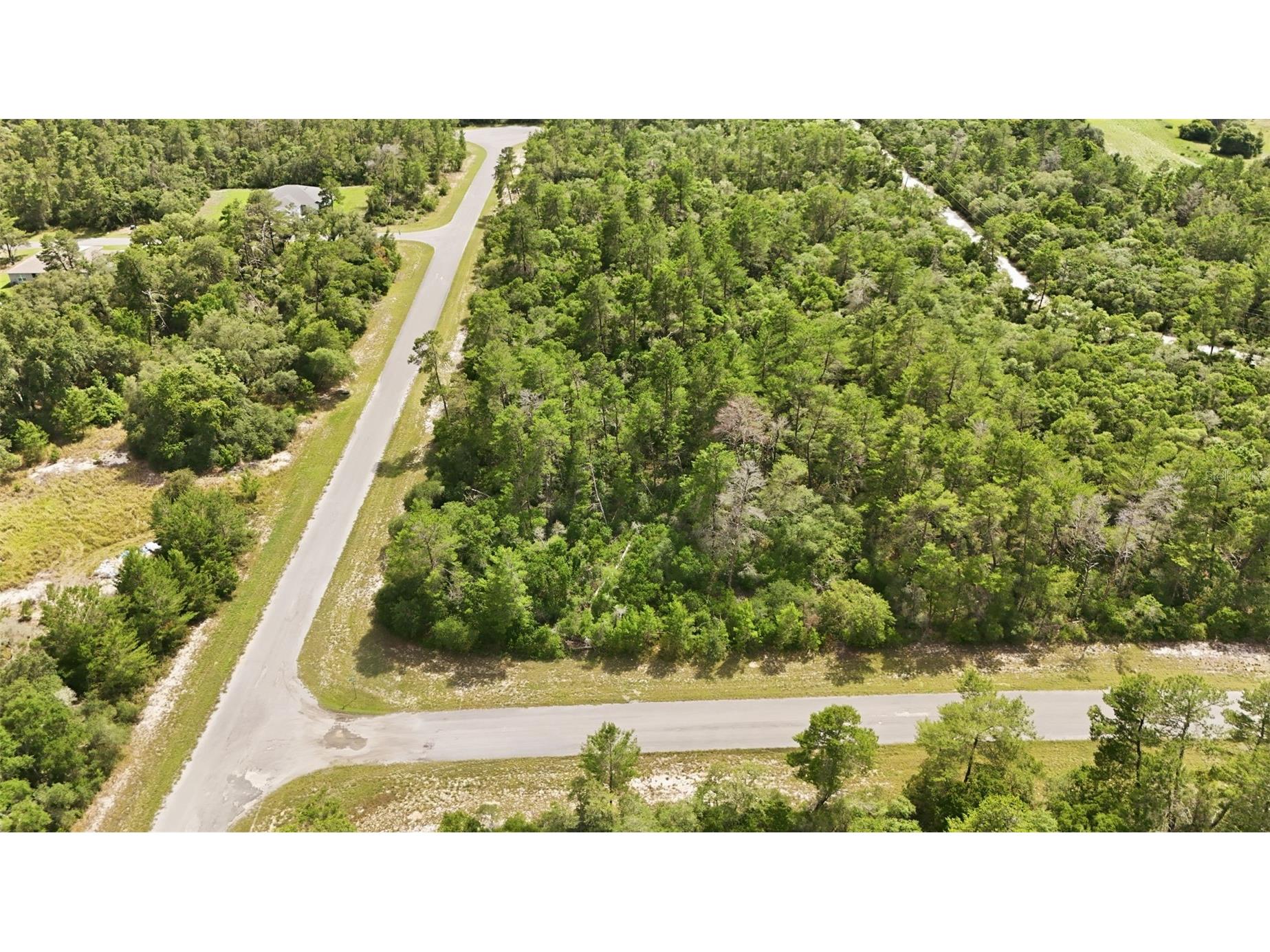 Parcel #8005-0854-46 (2.89 Acres) Ocala FL 34473 OM725740 image5