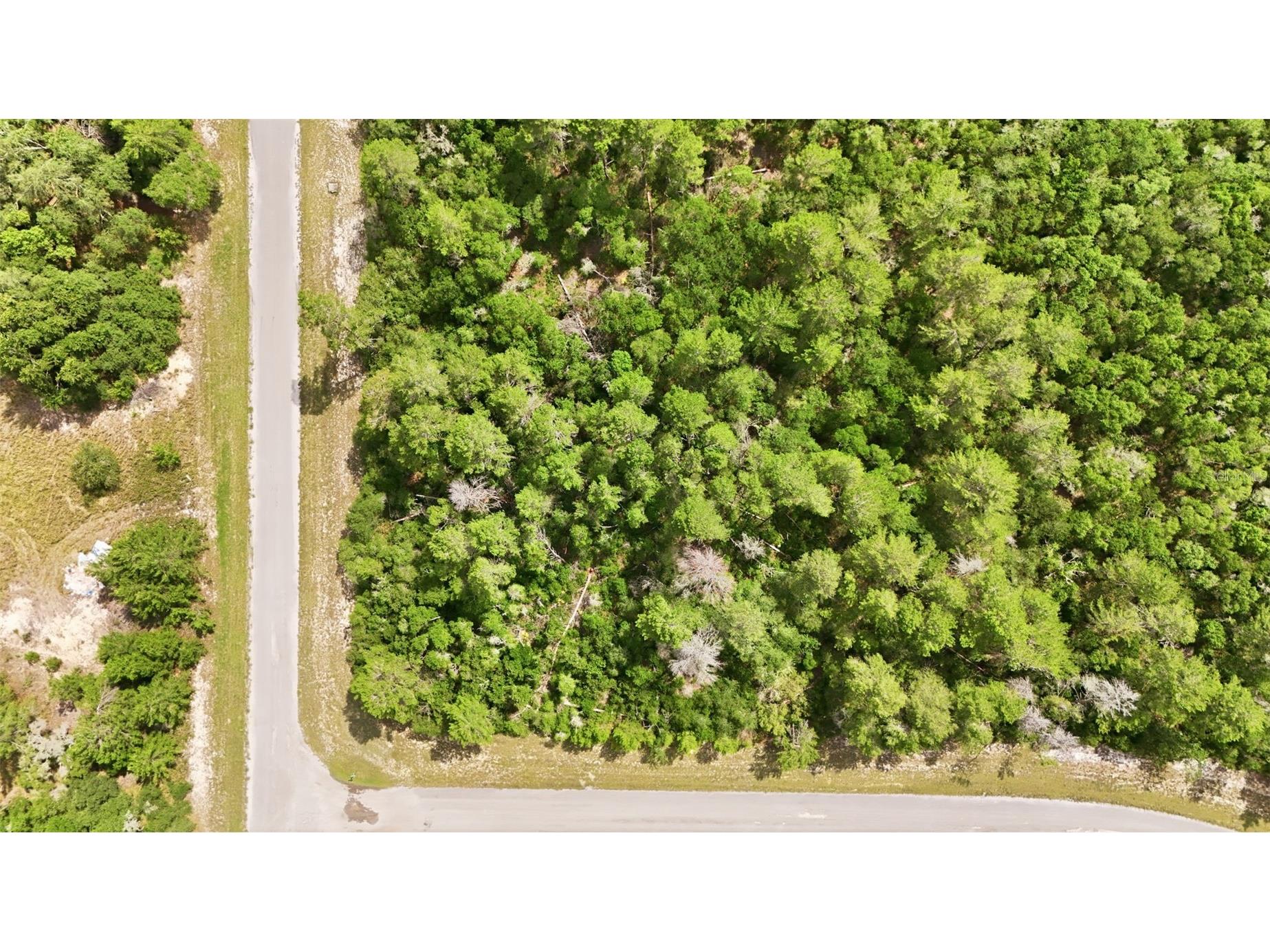 Parcel #8005-0854-46 (2.89 Acres) Ocala FL 34473 OM725740 image9