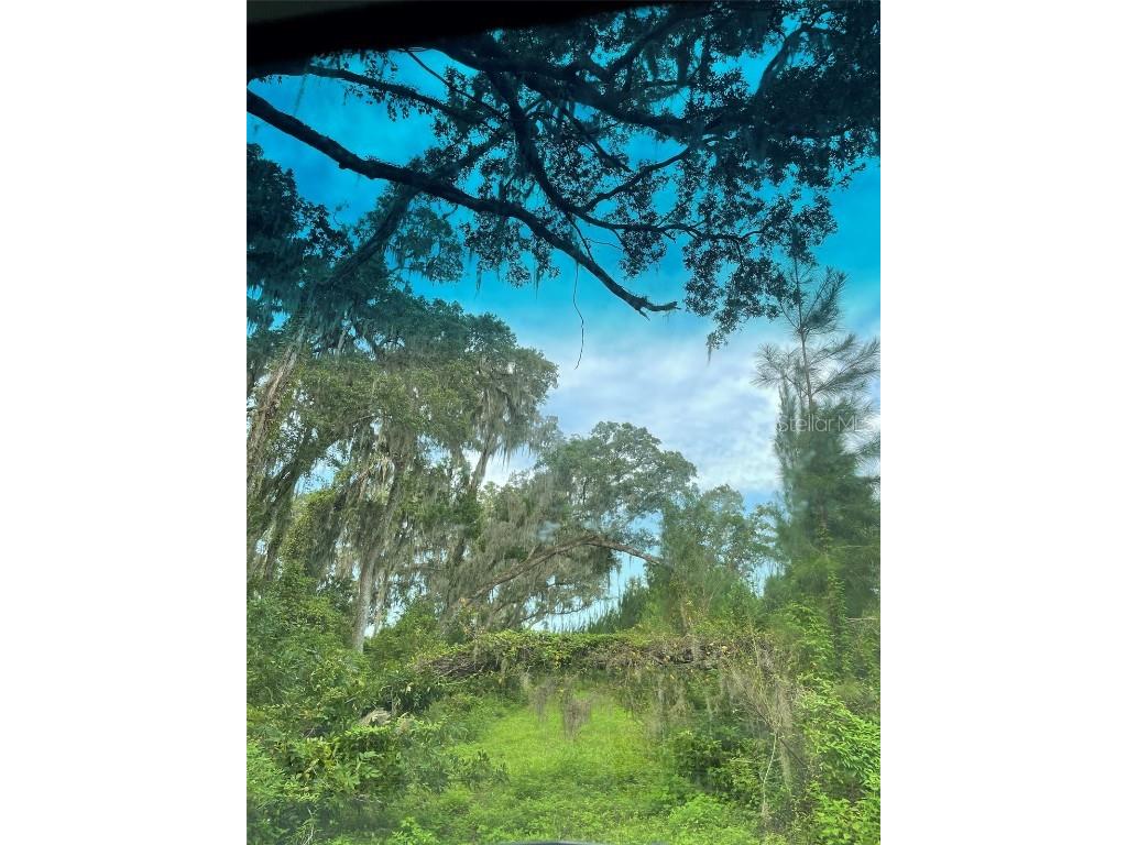 Parcel B NW 160th Avenue Morriston FL 32668 OM685975 image10