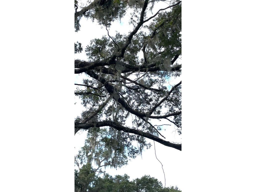 Parcel B NW 160th Avenue Morriston FL 32668 OM685975 image12