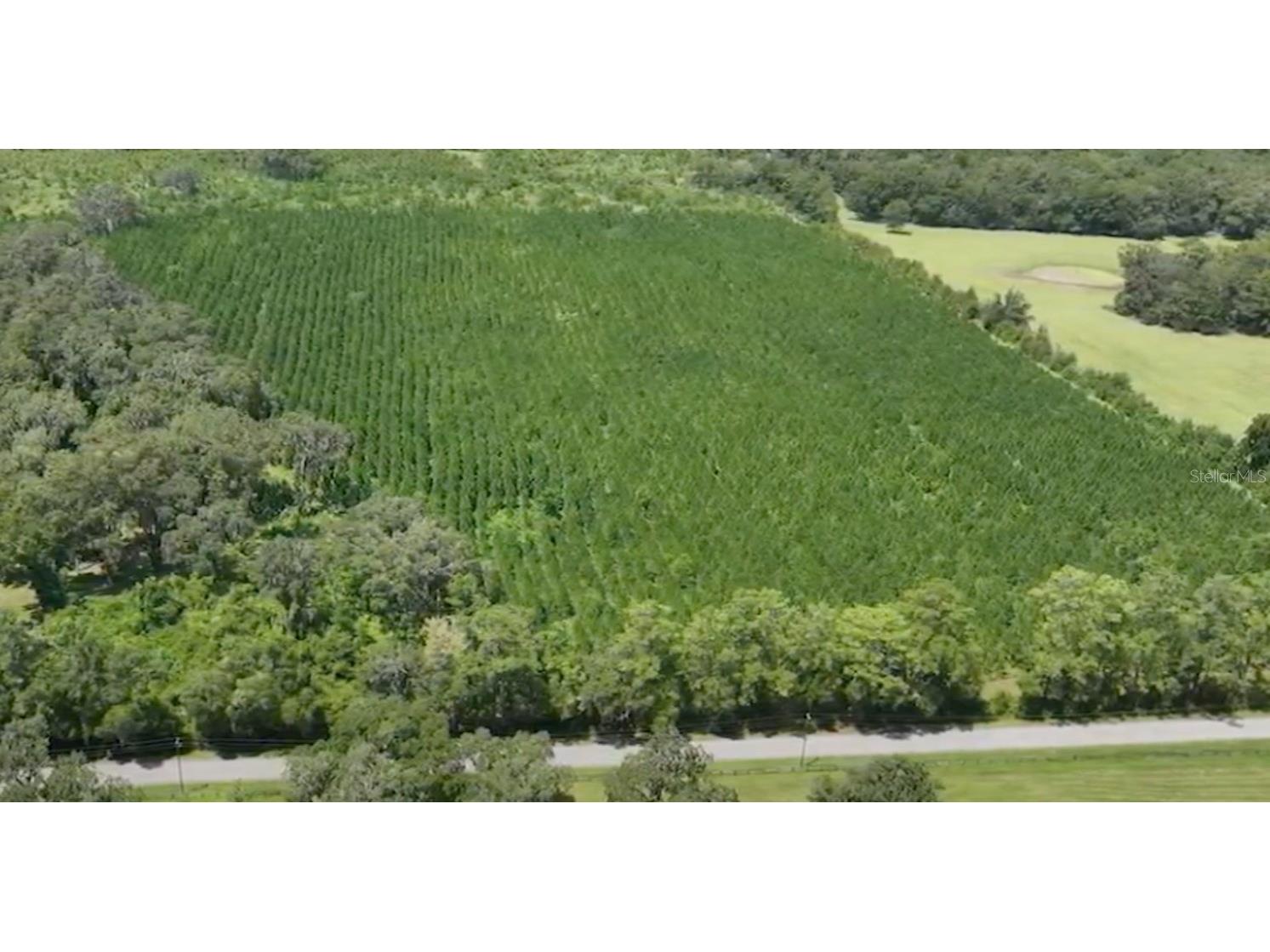 Parcel B NW 160th Avenue Morriston FL 32668 OM685975 image13