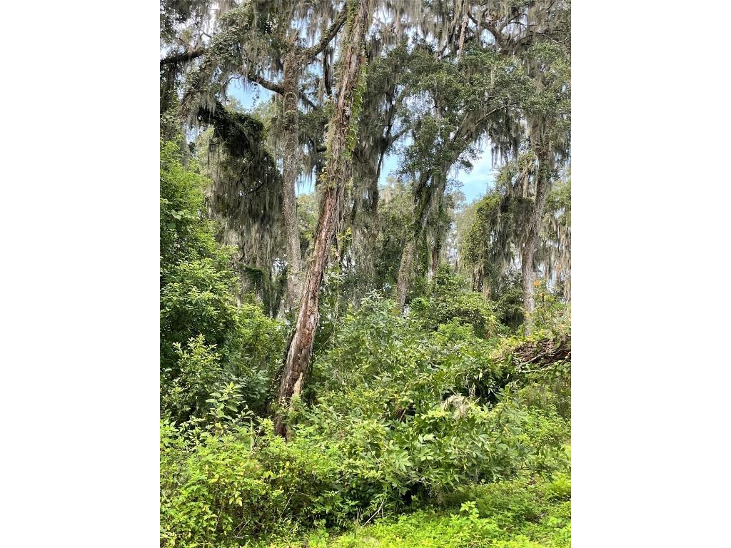 Parcel B NW 160th Avenue Morriston FL 32668 OM685975 image4