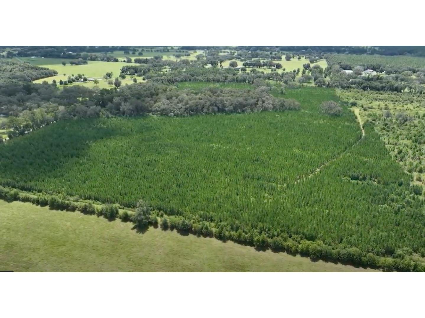 Parcel B NW 160th Avenue Morriston FL 32668 OM685975 image9