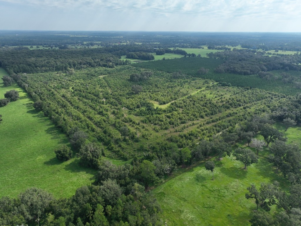 Parcel C NW 160th Avenue Morriston FL 32668 OM686161 image10