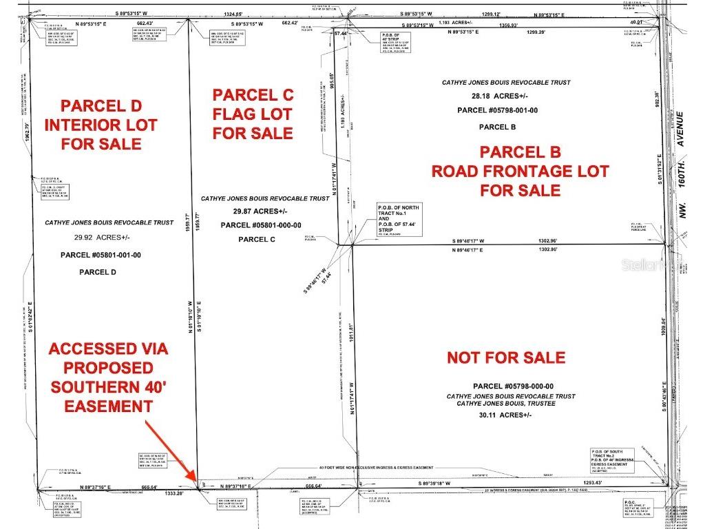 Parcel C NW 160th Avenue Morriston FL 32668 OM686161 image2