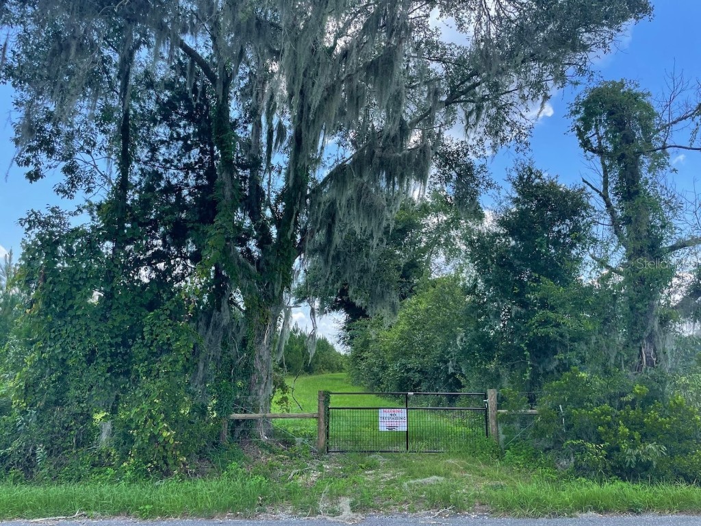 Parcel C NW 160th Avenue Morriston FL 32668 OM686161 image3