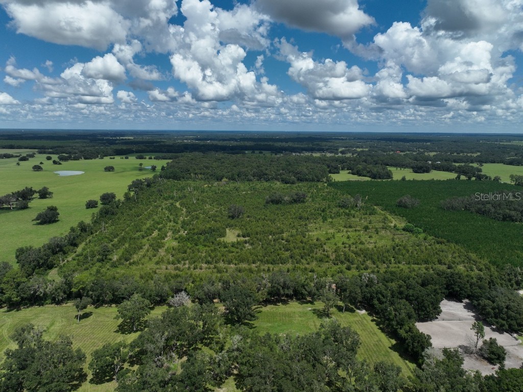 Parcel C NW 160th Avenue Morriston FL 32668 OM686161 image6