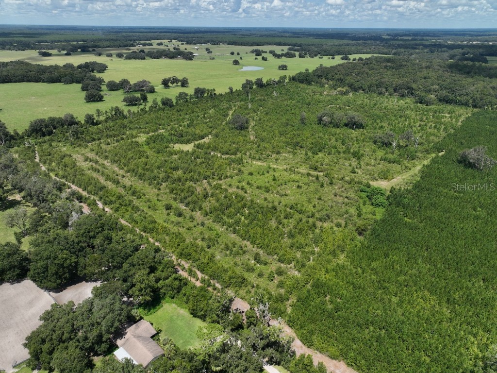 Parcel C NW 160th Avenue Morriston FL 32668 OM686161 image8