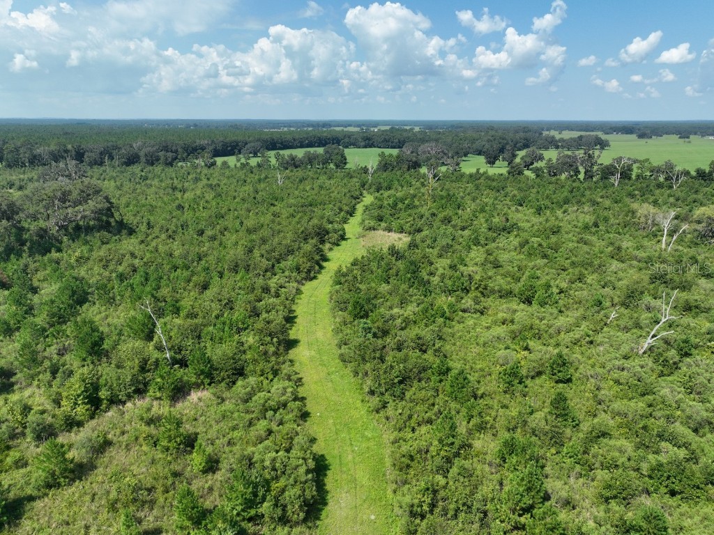 Parcel C NW 160th Avenue Morriston FL 32668 OM686161 image9