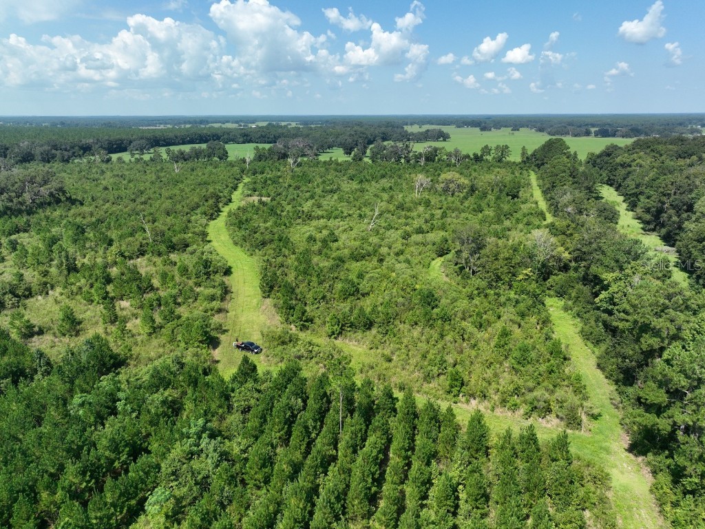 Parcel D NW 160th Avenue Morriston FL 32668 OM686172 image10