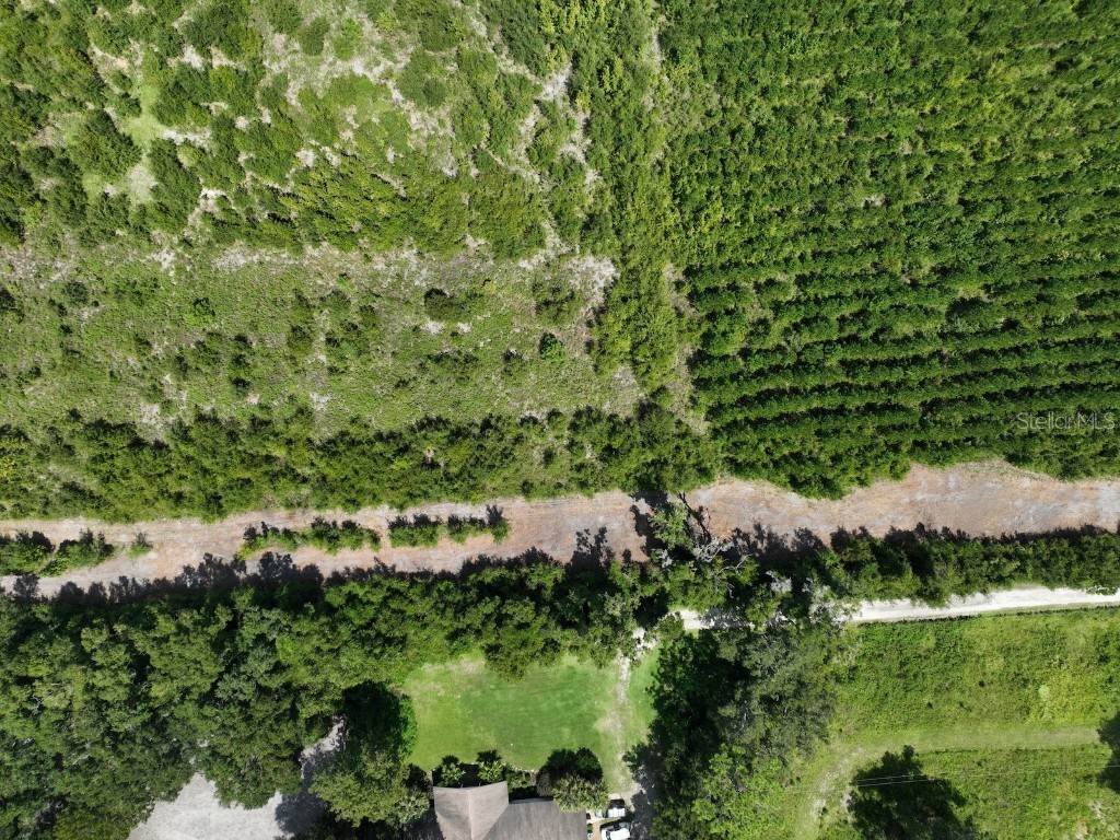 Parcel D NW 160th Avenue Morriston FL 32668 OM686172 image11