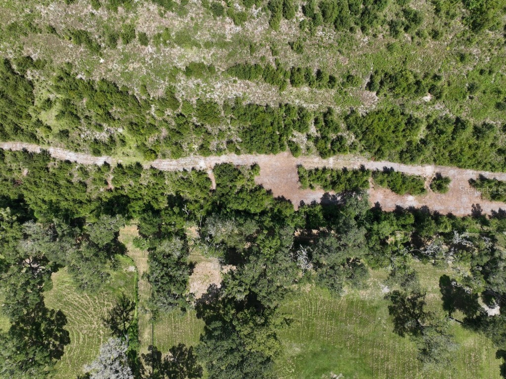 Parcel D NW 160th Avenue Morriston FL 32668 OM686172 image12