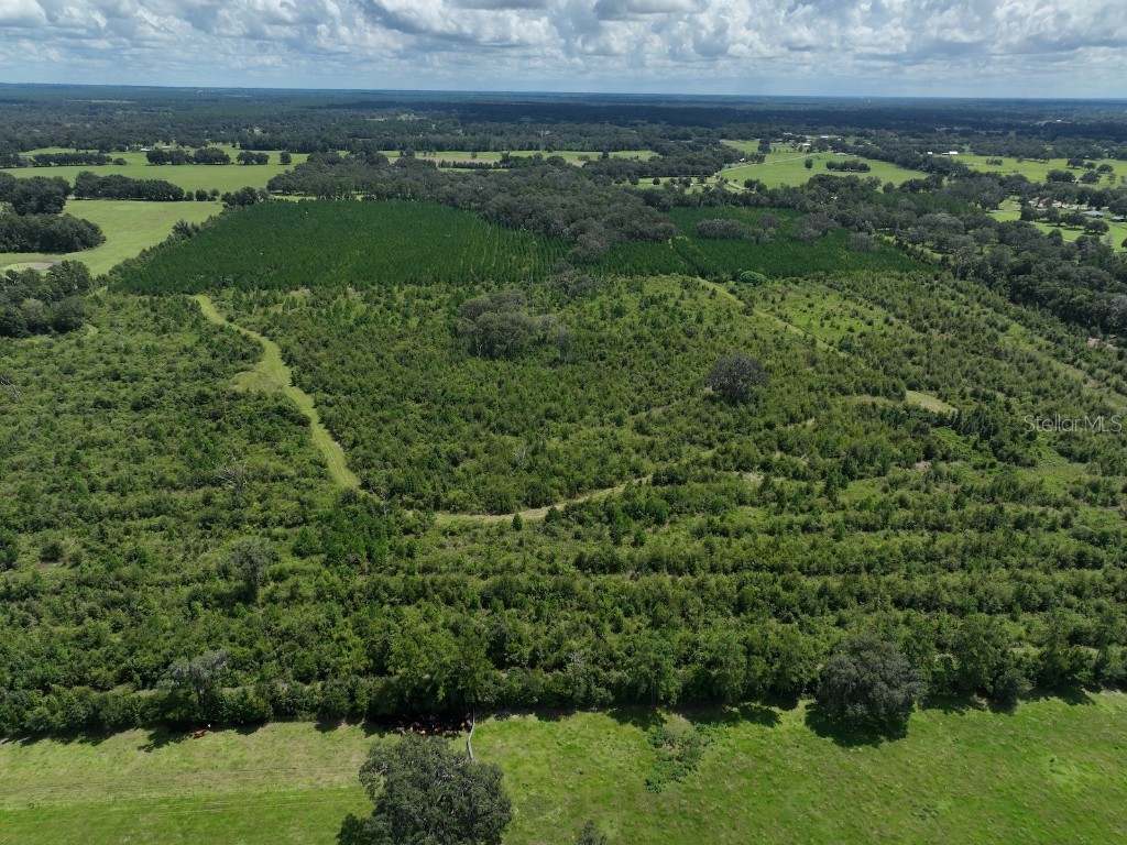 Parcel D NW 160th Avenue Morriston FL 32668 OM686172 image13