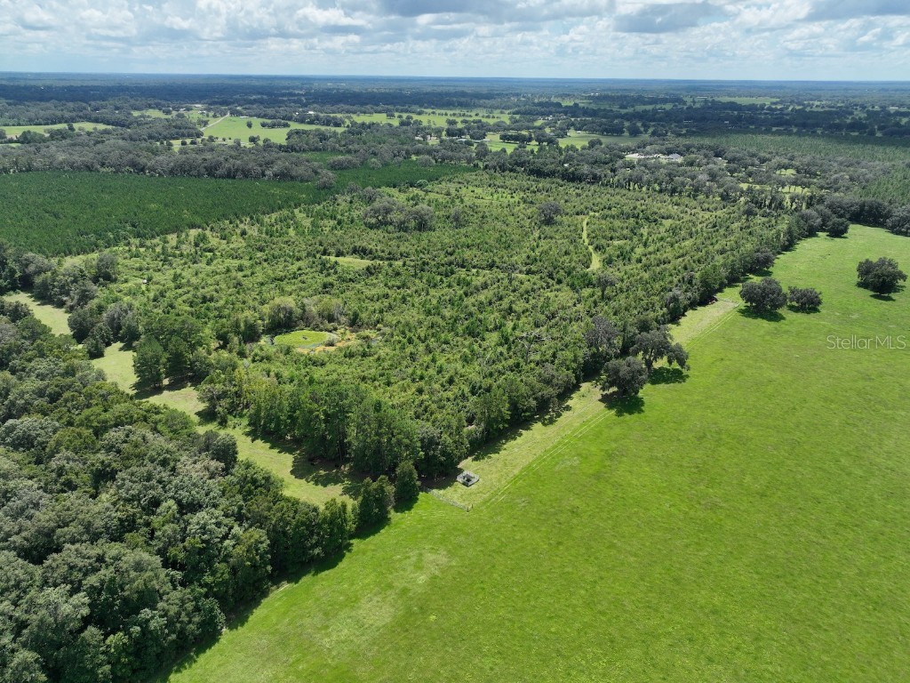 Parcel D NW 160th Avenue Morriston FL 32668 OM686172 image14