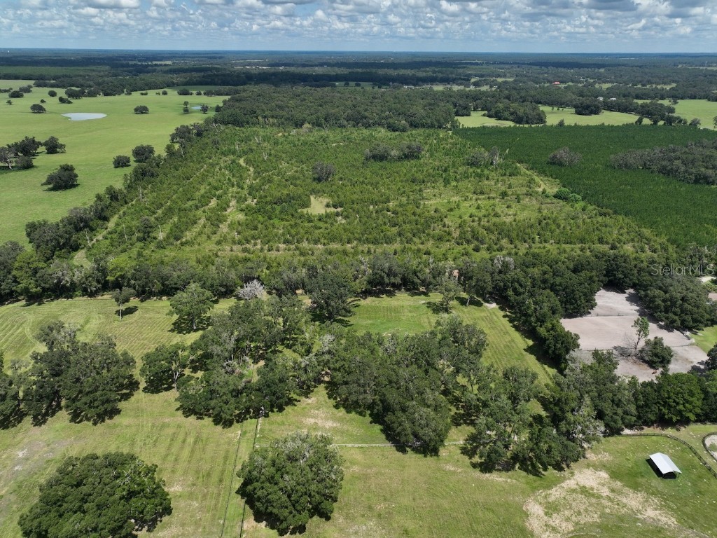 Parcel D NW 160th Avenue Morriston FL 32668 OM686172 image15