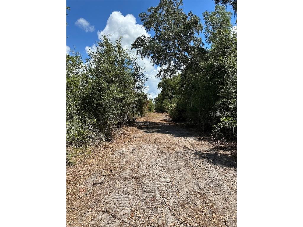 Parcel D NW 160th Avenue Morriston FL 32668 OM686172 image2