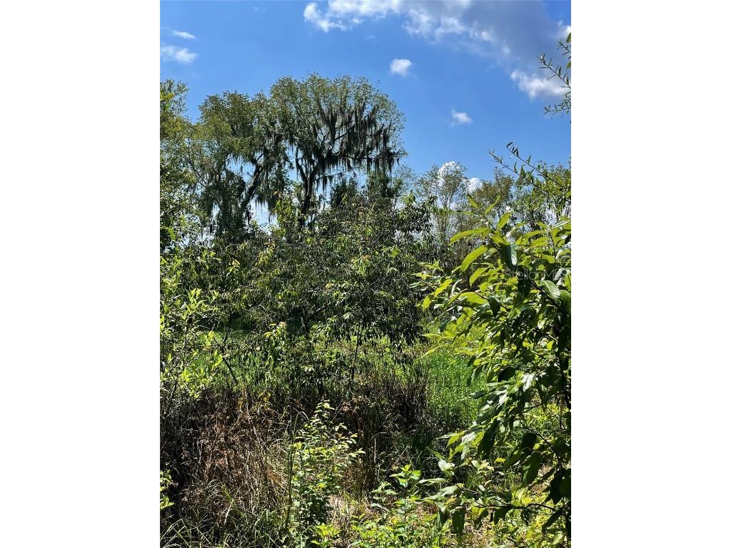 Parcel D NW 160th Avenue Morriston FL 32668 OM686172 image6