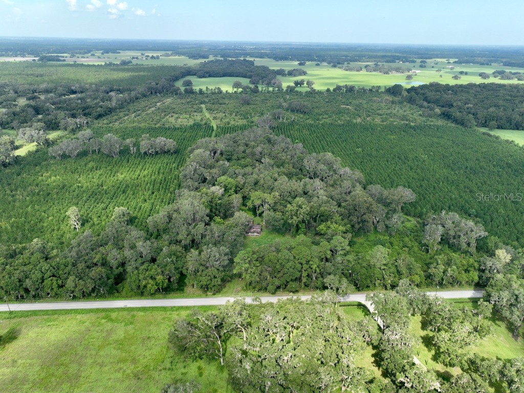 Parcel D NW 160th Avenue Morriston FL 32668 OM686172 image9