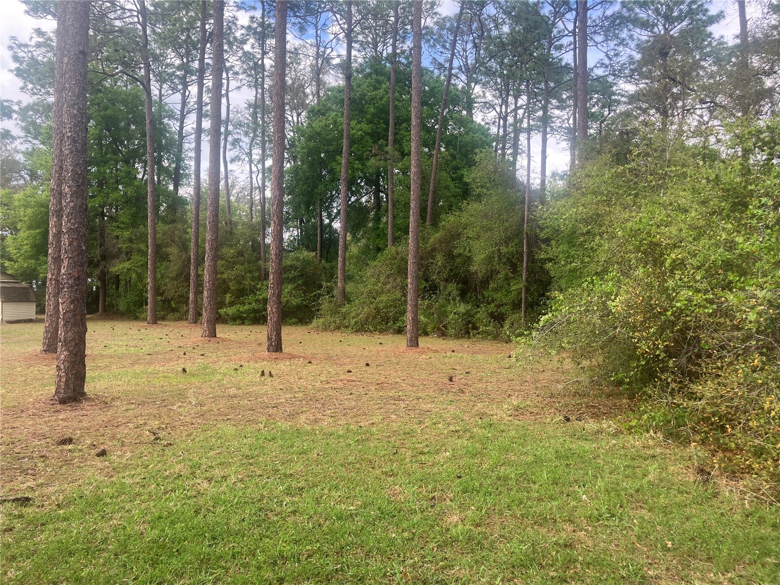 SE 19th Place Se 19th Place Silver Springs FL 34488 O6396129 image2