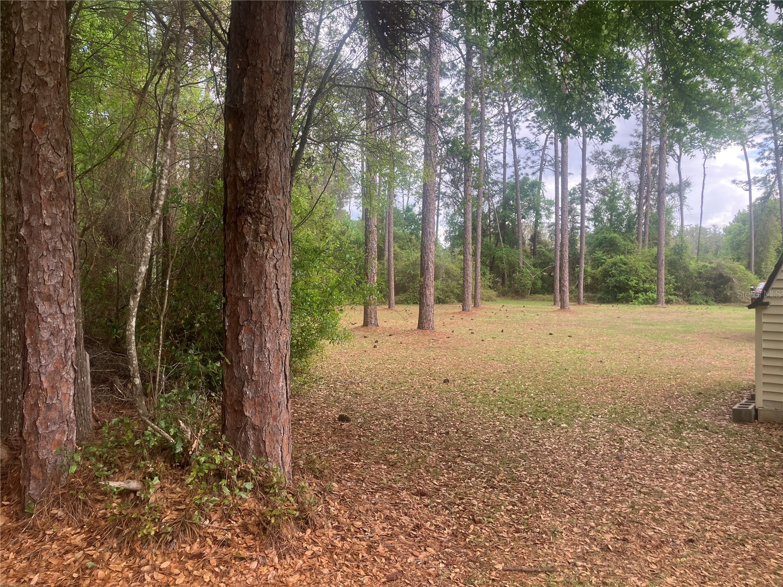 SE 19th Place Se 19th Place Silver Springs FL 34488 O6396129 image3