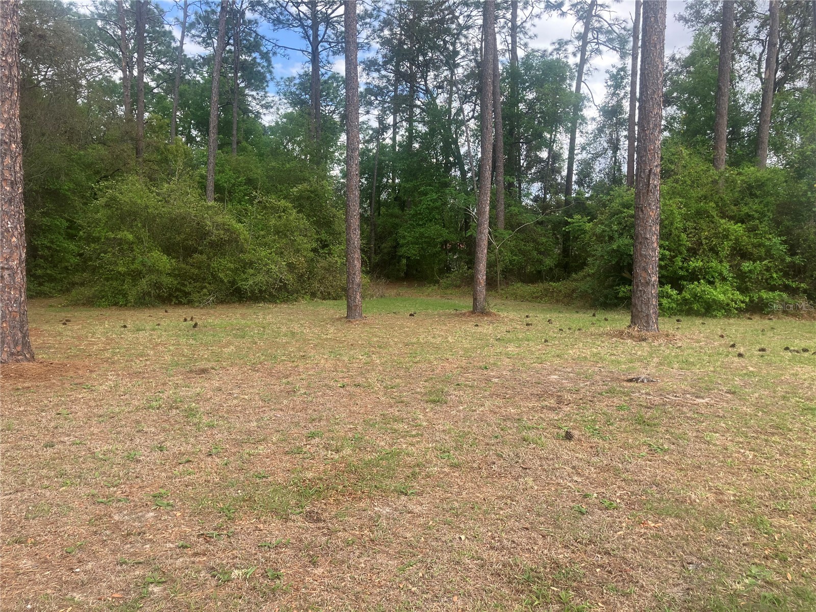 SE 19th Place Se 19th Place Silver Springs FL 34488 O6396129 image4