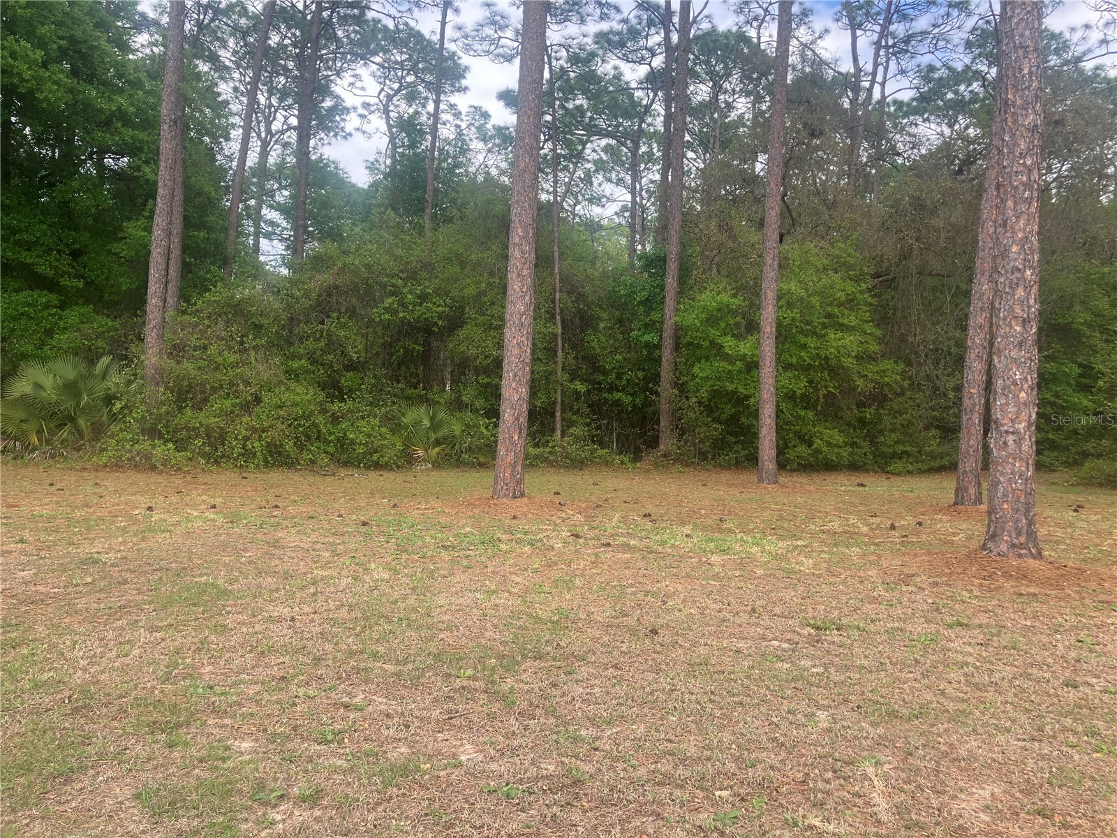 SE 19th Place Se 19th Place Silver Springs FL 34488 O6396129 image5