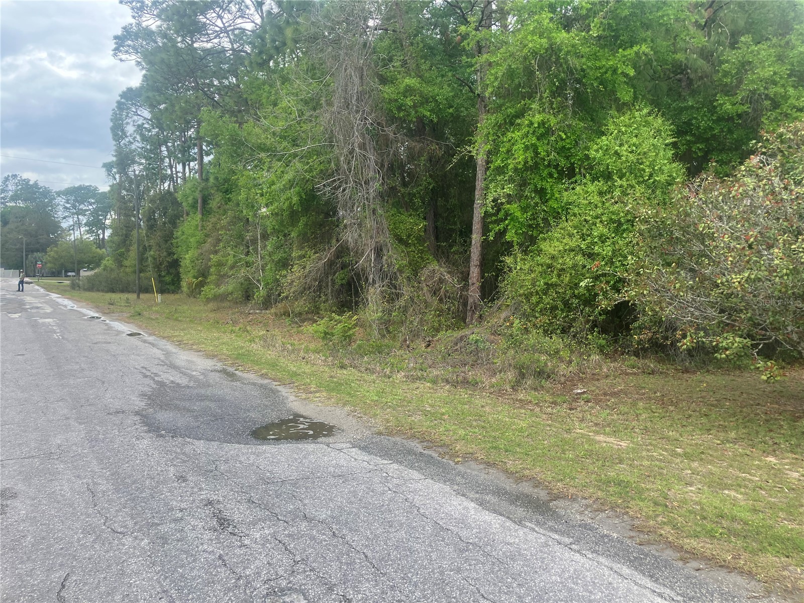SE 19th Place Se 19th Place Silver Springs FL 34488 O6396129 image8