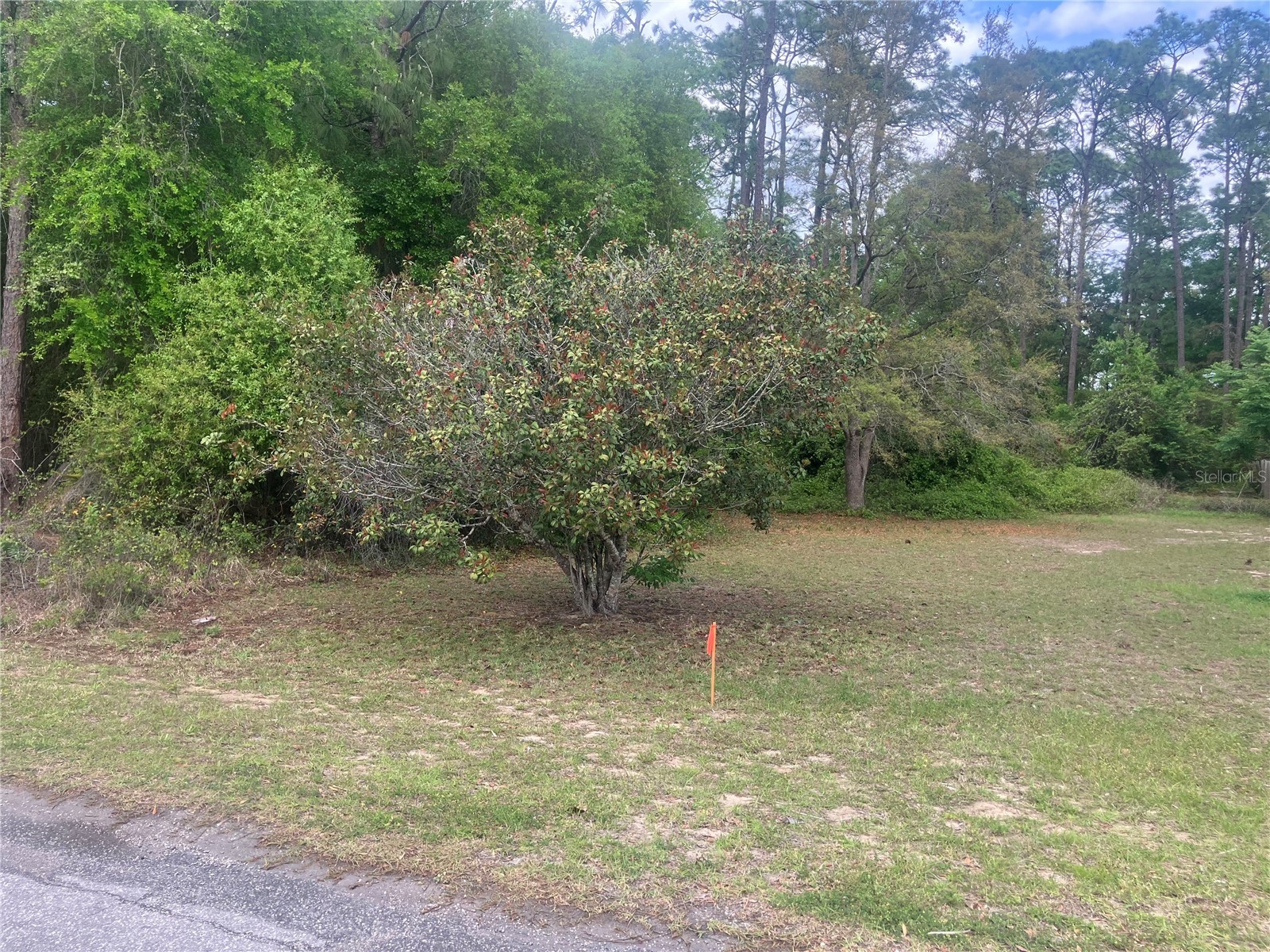 SE 19th Place Se 19th Place Silver Springs FL 34488 O6396129 image9