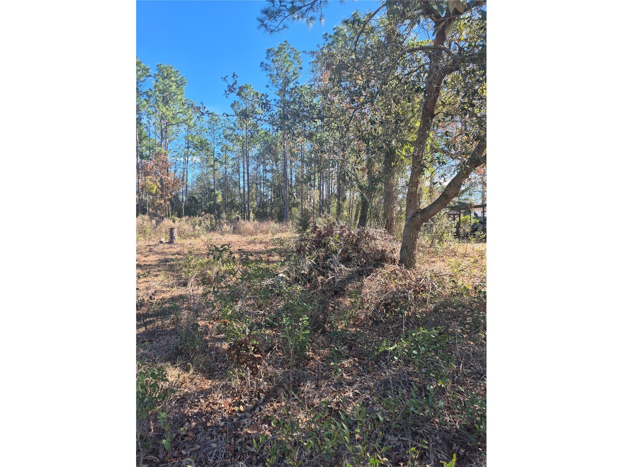 SE 87 Ter Belleview FL 34420 G5107266 image3