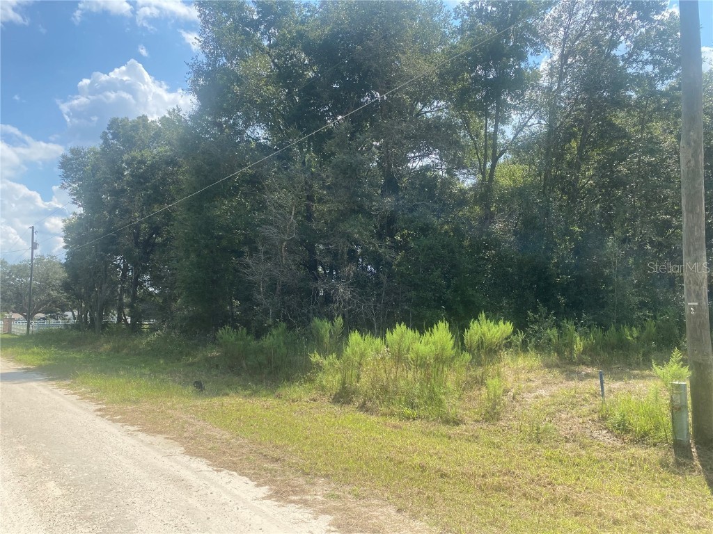 SW 115th place None Dunnellon FL 34432 OM686732 image1