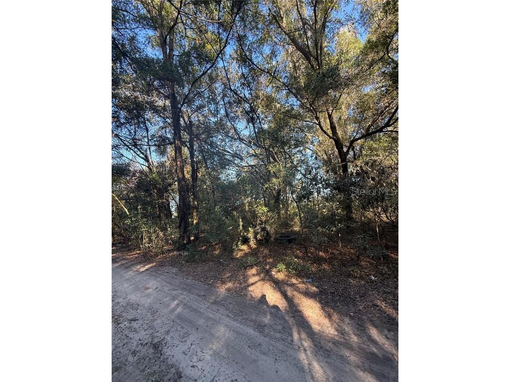 SW 148TH CT 32 Nd Place Ocala FL 34481 OM714157 image3