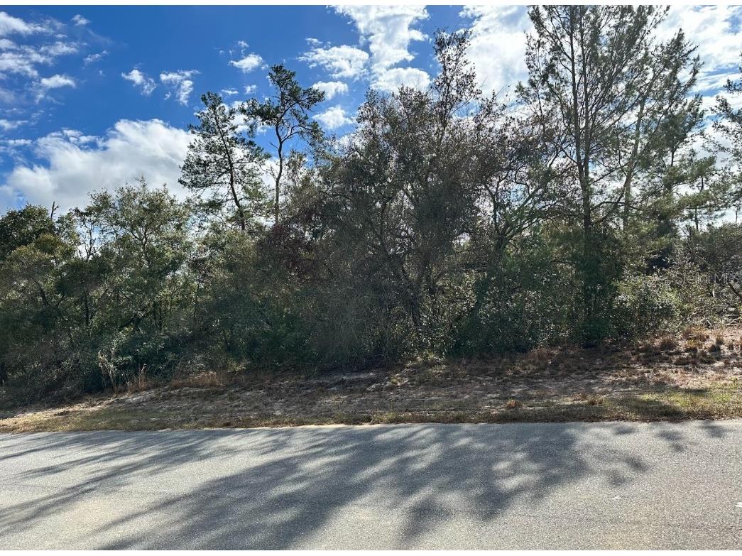 SW 178th Street Road Ocala FL 34473 OM699674 image1