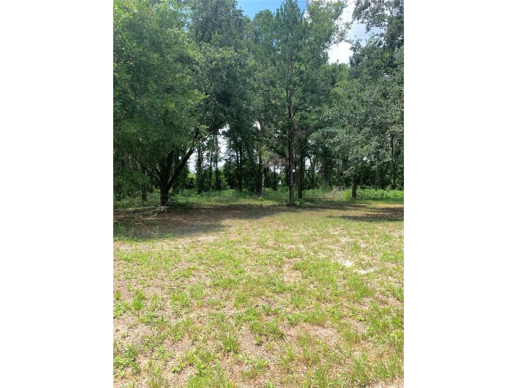 SW 19th Circle Trenton FL 32693 GC532700 image1