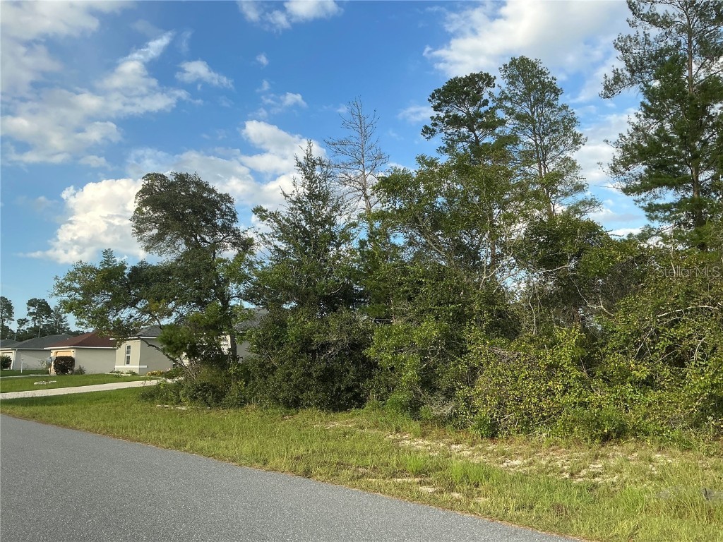 SW 35th Ave Road Ocala FL 34473 OM710802 image2