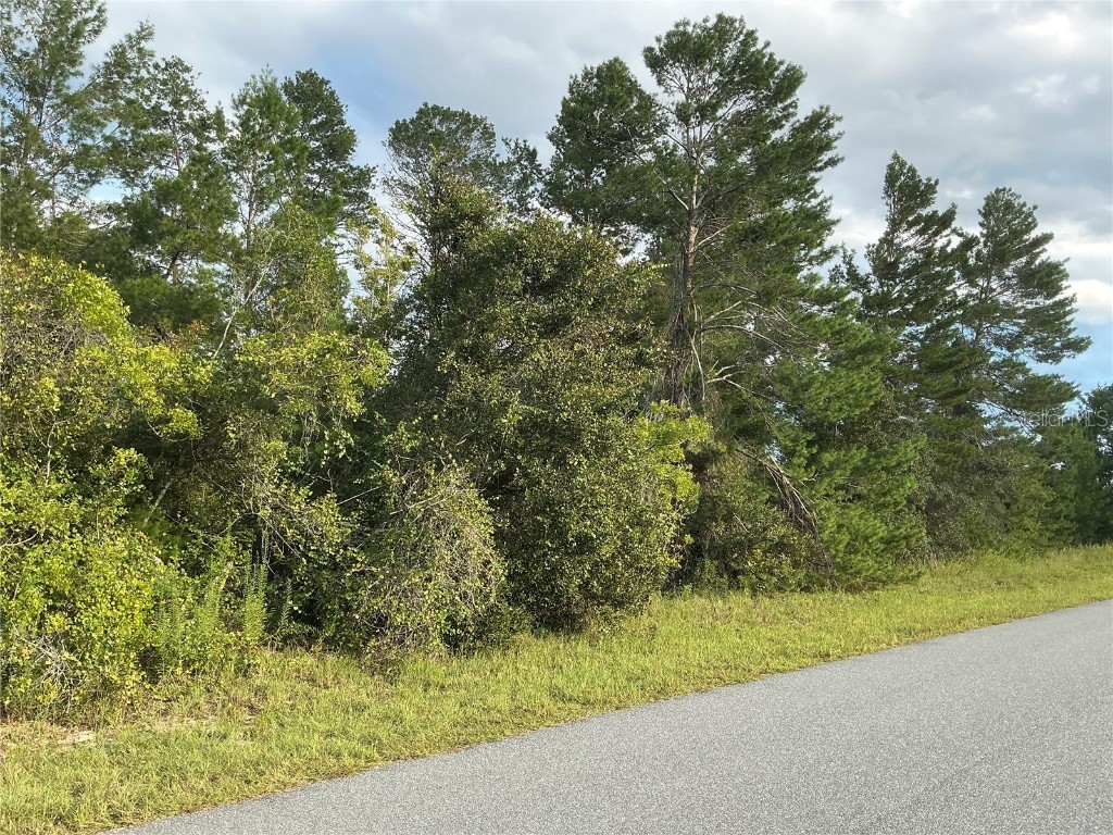 SW 35th Ave Road Ocala FL 34473 OM710802 image3