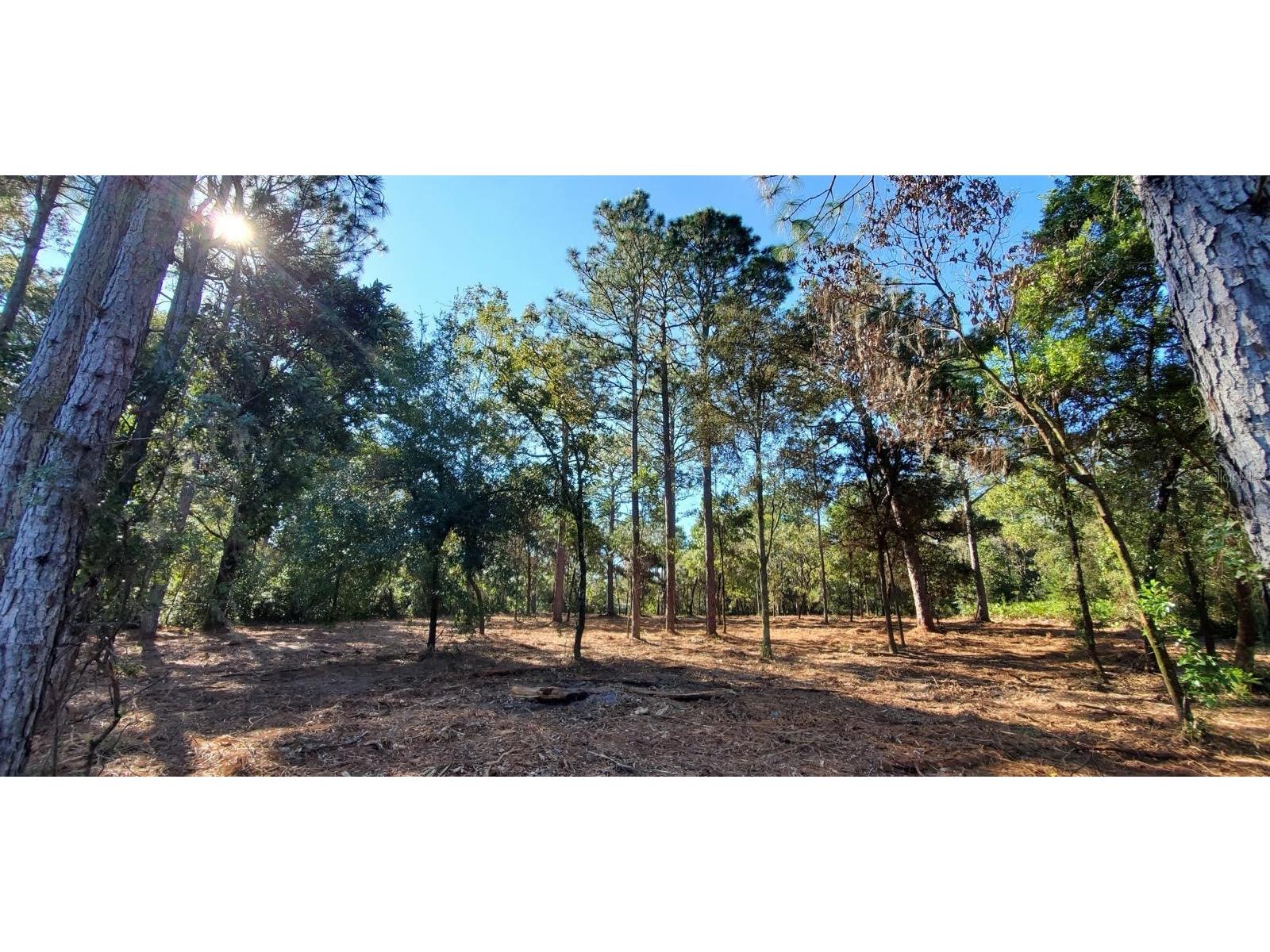 SW 82nd Lane Ocala FL 34471 TB8348483 image1