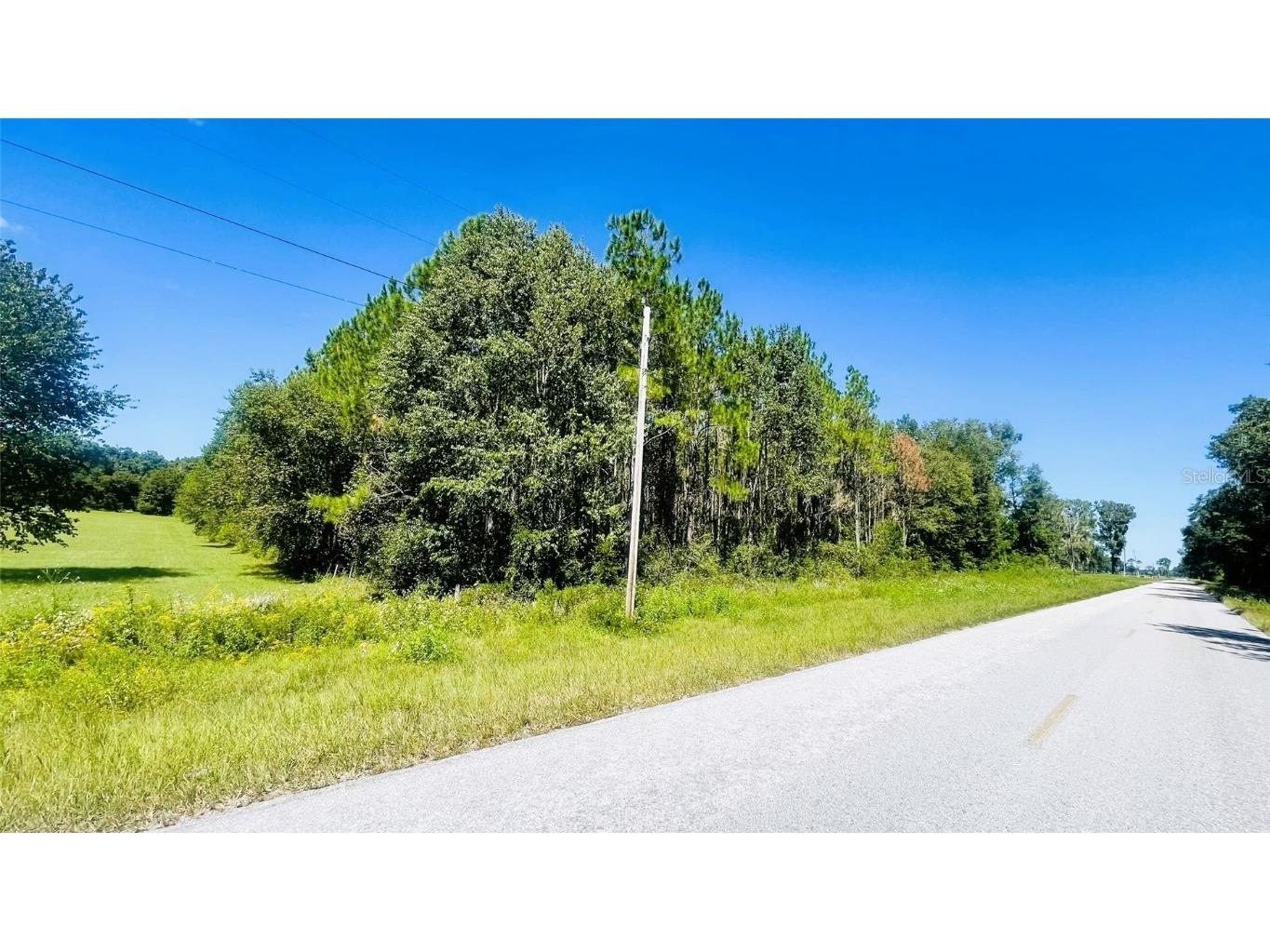 T/B/D NW 50th Ave Trenton FL 32693 GC534022 image1