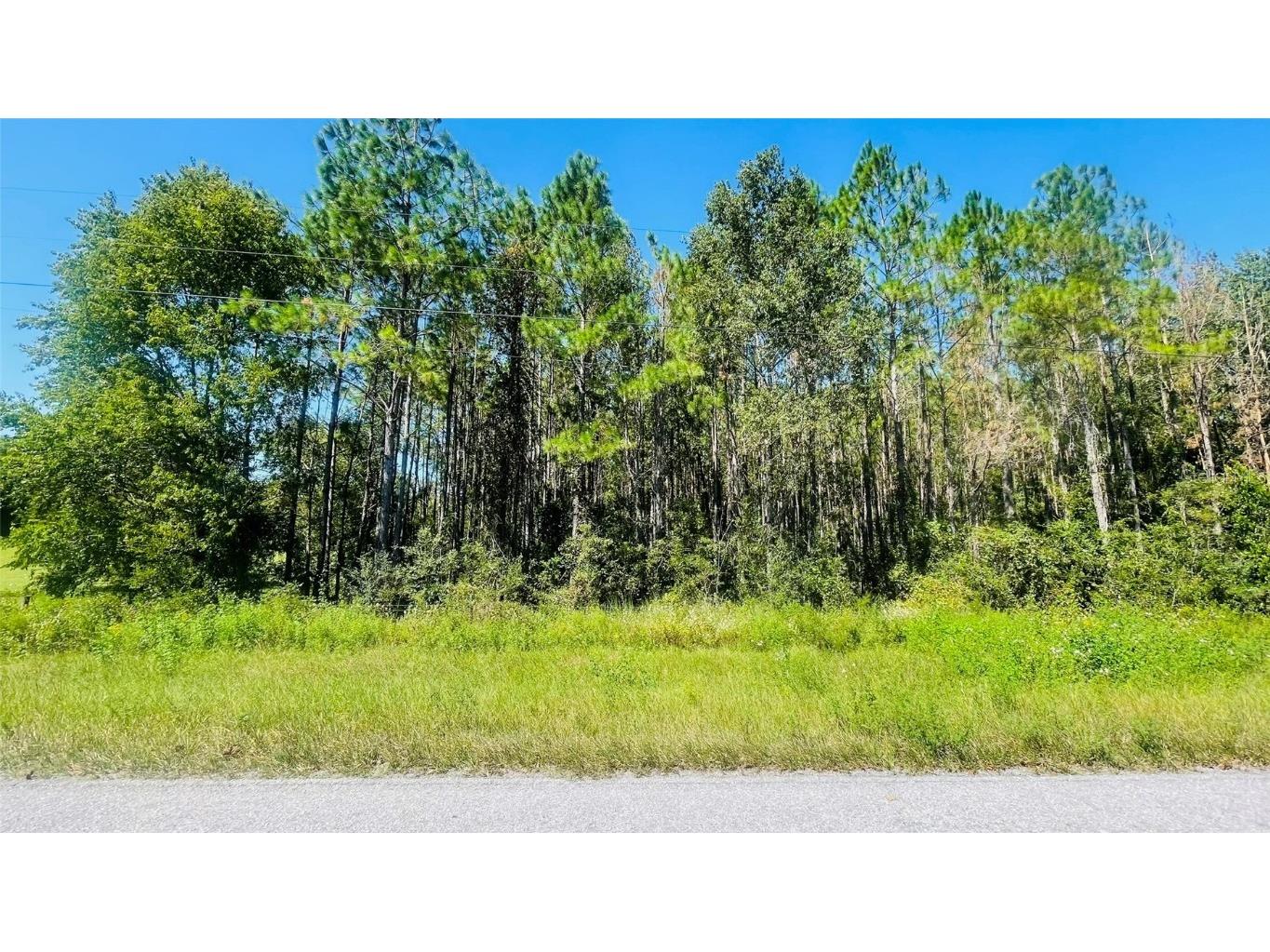 T/B/D NW 50th Ave Trenton FL 32693 GC534022 image2