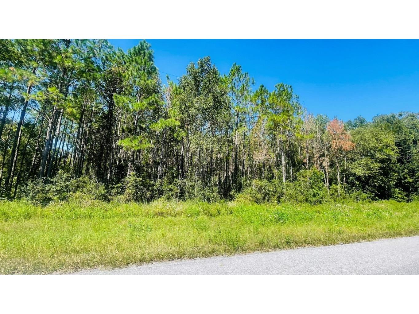 T/B/D NW 50th Ave Trenton FL 32693 GC534022 image3