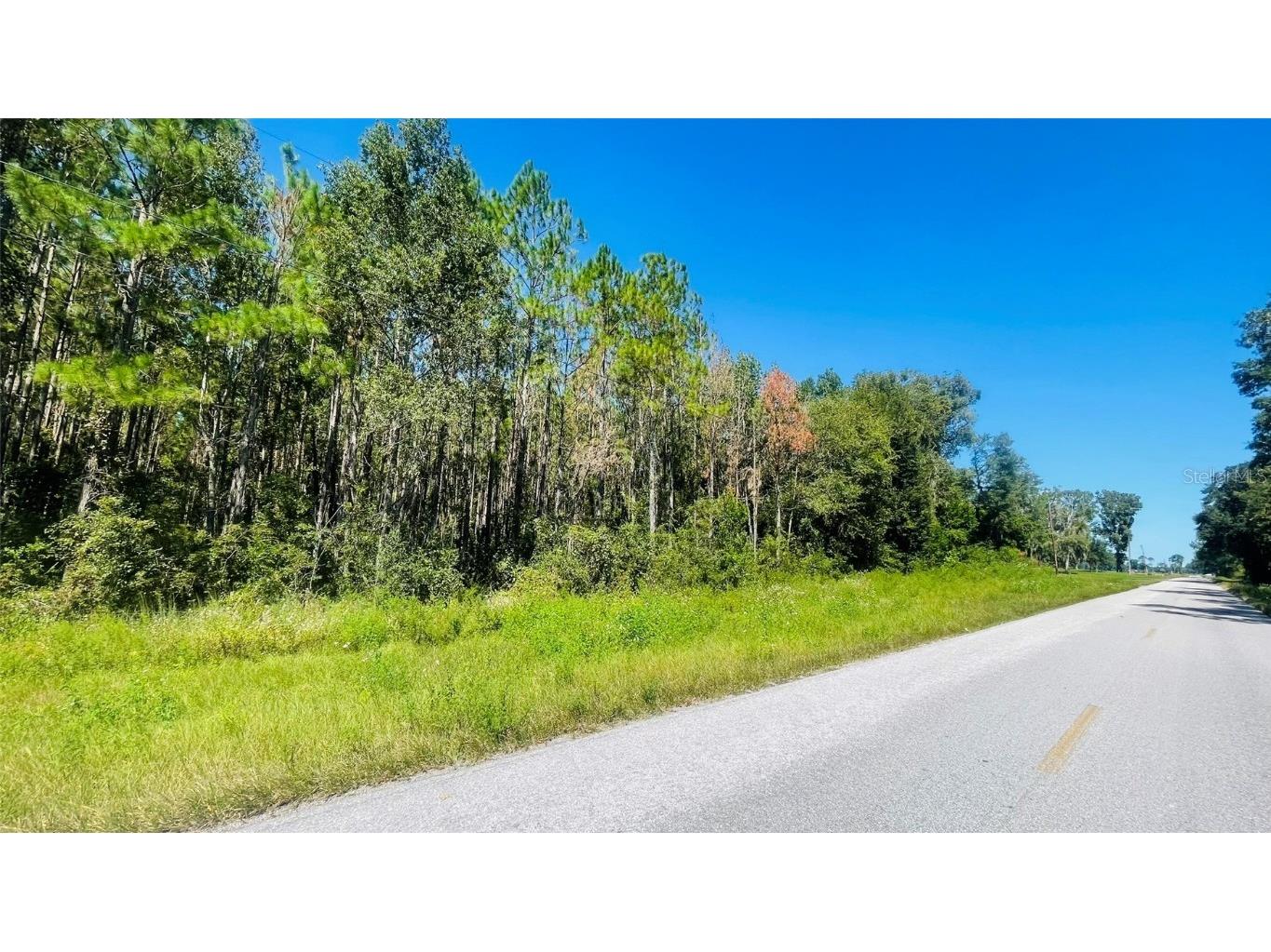 T/B/D NW 50th Ave Trenton FL 32693 GC534022 image4