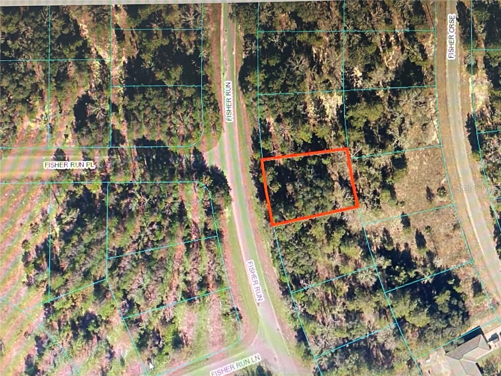 TBA Fisher Run Ocklawaha FL 32179 OM647292 image1