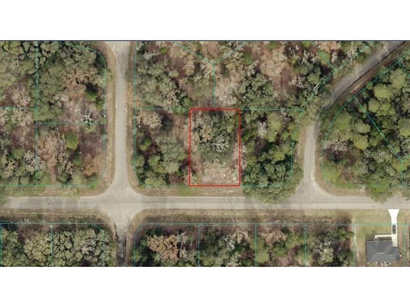 TBA Guava Pass Ocklawaha FL 32179 OM717104 image1