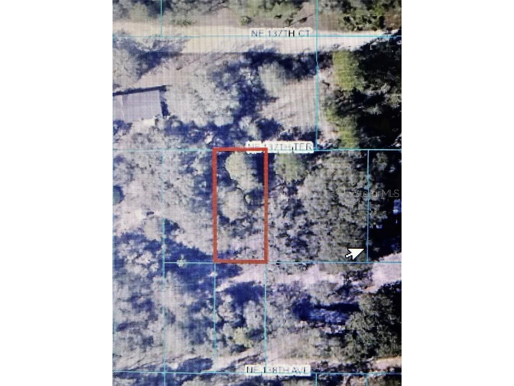 TBA NE 137th Terrace Fort Mc Coy FL 32134 U8206538 image1