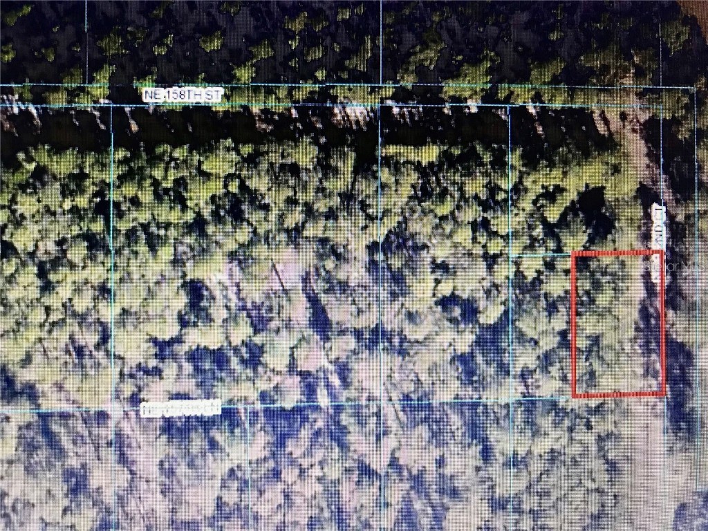 TBA NE 142nd Court Fort Mc Coy FL 32134 U8206542 image1