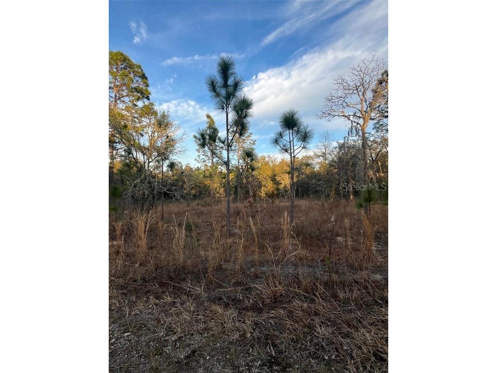 TBA NE 148th Court Williston FL 32696 GC519389 image1